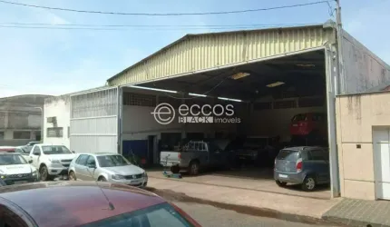 Barracão à venda, 1 quarto, Umuarama - Uberlândia/MG