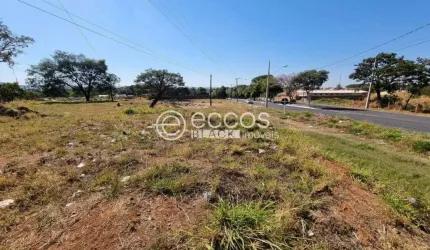 Terreno à venda, Mansour - Uberlândia/MG