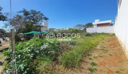 Terreno à venda, Jardim Karaíba - Uberlândia/MG