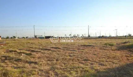 Terreno à venda, Alto Umuarama - Uberlândia/MG