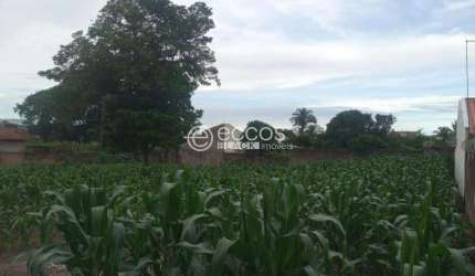 Terreno para aluguel, CENTRO - ARAGUARI/MG