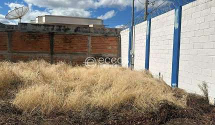 Imóvel Comercial para aluguel, CENTRO - ARAGUARI/MG