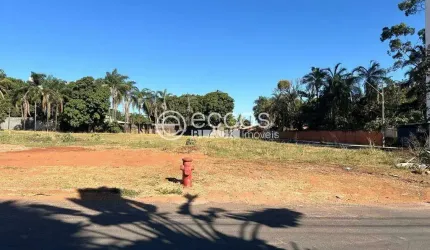 Terreno à venda, Chácaras Tubalina e Quartel - Uberlândia/MG