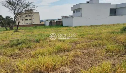 Terreno à venda, Chácaras Tubalina e Quartel - Uberlândia/MG