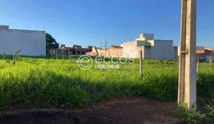 Terreno à venda, Jardim Ipanema - Uberlândia/MG