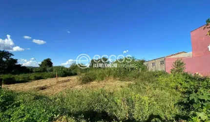 Terreno à venda, FABRÍCIO - UBERABA/MG