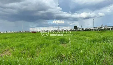 Terreno à venda, Jardim Sul - Uberlândia/MG