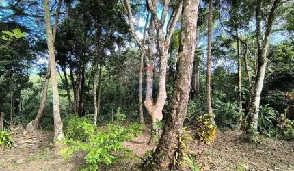 Lote de 700m² em Morro de São Paulo