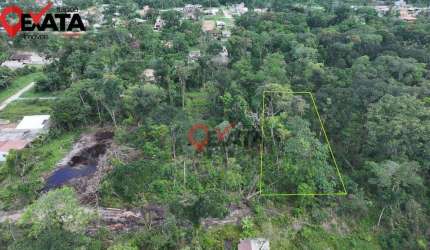 Terreno à venda, 384 m² por R$ 100.000 - Praia Das Palmeiras - Itapoá/SC