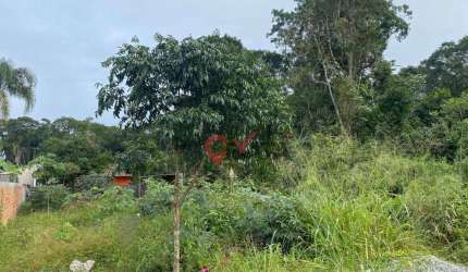 Terreno à venda, 360 m² por R$ 70.000,00 - Alvorada - Itapoá/SC