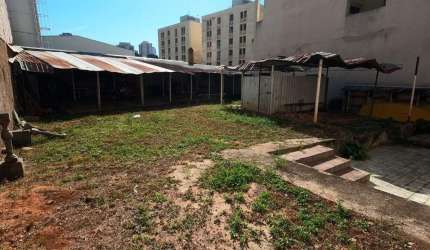 Casa para alugar em Campinas, Cambuí, com 3 quartos, com 226 m²