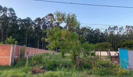 Terreno à venda em Campinas, Cidade Satélite Íris