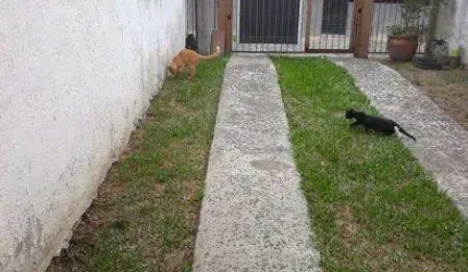 Apartamento Camboim Sapucaia do Sul