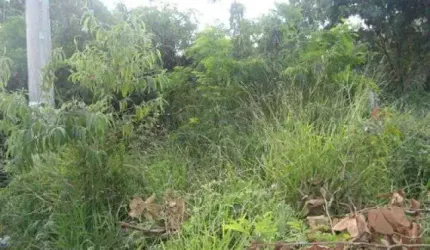 Terreno à venda no Niterói, Betim  por R$ 750.000