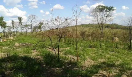 Excelente terreno!!!!