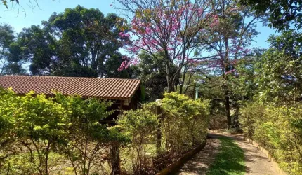 ÁREA COM GRANDE ESPAÇO VERDE