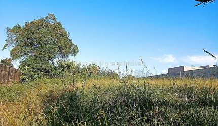 Lote / Terreno - Salvaterra