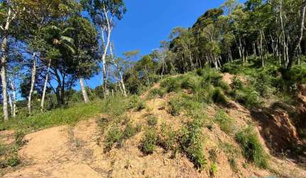 Terreno para Venda em Teresópolis, Carlos Guinle