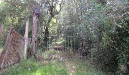 Área 53851,44 m² no Beco da Paixão Bairro Lomba do Pinheiro