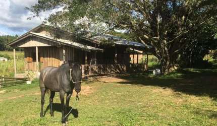 Chácara em Branquinha
