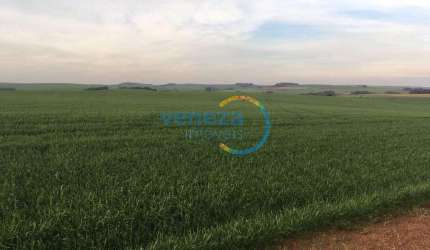 Chácaras_Prop rurais com 1 quarto  à venda, 302500.00 m2 por R$4500000.00  - Nova Amoreira - Marilandia Do Sul/PR