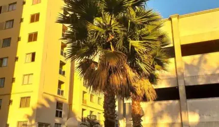 Apartamento para Venda em Curitiba, Bairro Alto, 2 dormitórios, 1 suíte, 1 banheiro, 2 vagas