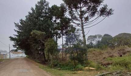 Terreno à venda, 732 m² por R$ 450.000,00 - Guatupê - São José dos Pinhais/PR