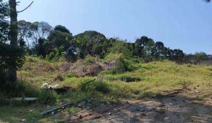Terreno à venda, 734 m² por R$ 450.000,00 - Cristal - São José dos Pinhais/PR