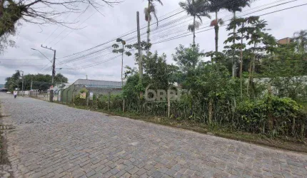 Terreno à venda, 1192 m² por R$ 799.000,00 - Figueira - Gaspar/SC