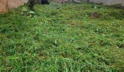 Terreno no Bairro Vila Jardim - Oportunidade de Investimento!&lt;BR&gt;&lt;BR&gt;Vende-se terreno no Bairro Vila Jardim, com dimensões de 9,90 metros de frente por 42,50 metros de fundo. Este terreno 