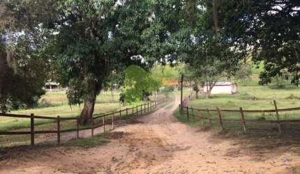 Haras a venda em Casimiro de Abreu