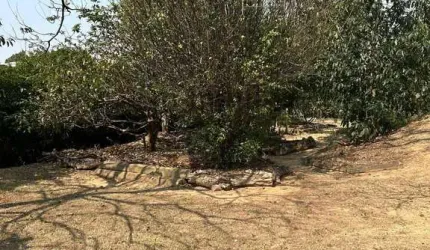 Terreno em condomínio fechado à venda na Rua da Lagoa, 2, Loteamento Caminhos de San Conrado (Sousas), Campinas por R$ 490.000
