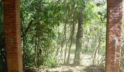 Chácara / sítio com 3 quartos à venda no Sousas, Campinas , 15800 m2 por R$ 1.500.000