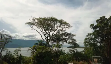 Sítio 170.250,00 m² no Ribeirão da Ilha.