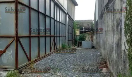Galpão na Rua Evolução - Vila Brasilina  -  São Paulo