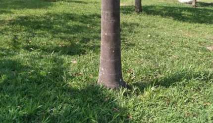 Chácara com 3 dormitórios à venda, 4740 m² por R$ 550.000,00 - Convívio Reconquista - Salto/SP