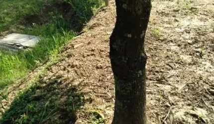 Terreno à venda, 6225 m² por R$ 622.500,00 - Convívio Reconquista - Salto/SP