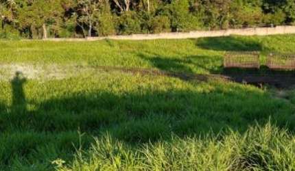 Terreno à venda, 586 m² por R$ 370.000,00 - Condomínio Mirante dos Ipês - Salto/SP