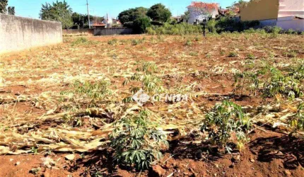 Terreno à venda, 528 m² - Jardim Dom Bosco - Indaiatuba/SP