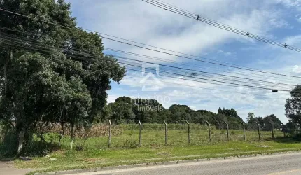 Terreno comercial para alugar na Alameda Bom Pastor, Costeira, São José dos Pinhais por R$ 40.000