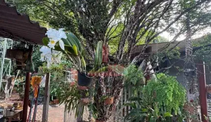 Casa à venda com casa de 2 dorms, mais edícula, em 500m2 terreno