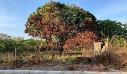 Terreno à venda, 1380 m² por R$ 300.000,00 - Recanto da Lagoa - Lagoa Santa/MG