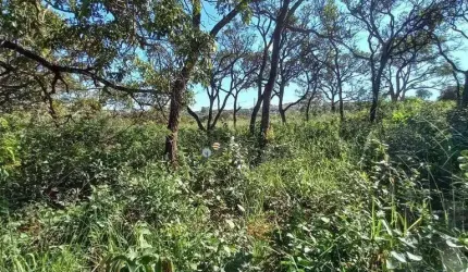 Terreno à venda, 525 m² por R$ 245.000,00 - Pomar da Lagoa - Lagoa Santa/MG