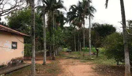 Chácara com 2 dormitórios à venda, 5000 m² - Vila Esperança - Santo Antônio de Posse/SP