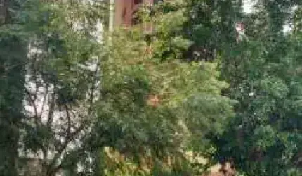 Apartamento para Locação em São Paulo, Santa Cecília, 1 dormitório, 1 suíte, 1 banheiro, 1 vaga