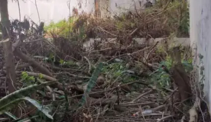 Terreno- 351m², Aclimação- São Paulo- SP.