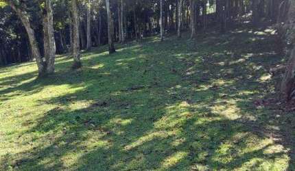 Terreno à venda Dos Finco - São Bernardo do Campo - SP