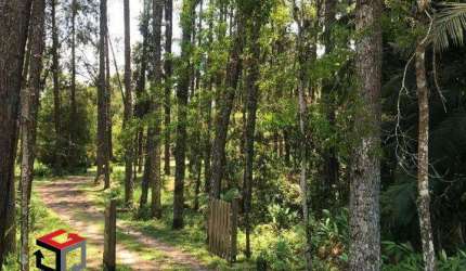 Terreno à venda Alvarenga - São Bernardo do Campo - SP