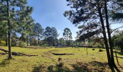 Terreno em Ipelândia Suzano