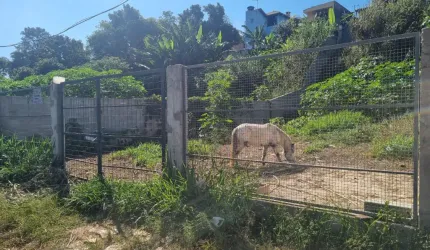 Terreno para venda ou permuta em Suzano